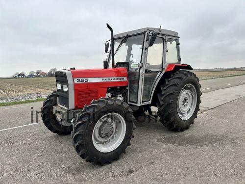 Massey Ferguson 365 ficha tecnica 