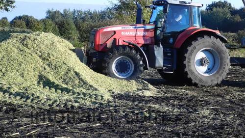 Massey Ferguson 8290 ficha tecnica